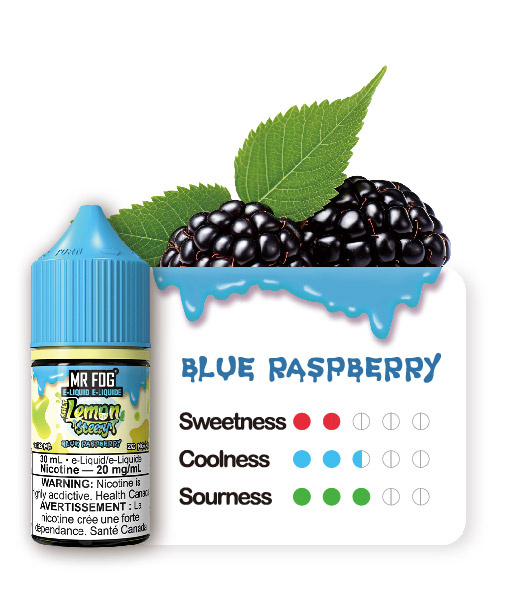 MR FOG JUICE LEMON STEEZY SALT NIC 5