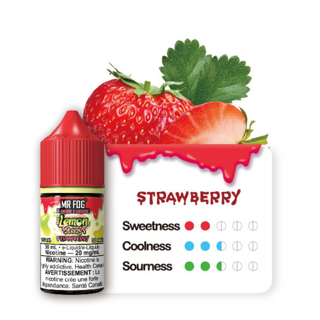 MR FOG MR FOG JUICE LEMON  STEEZY  SALT NIC