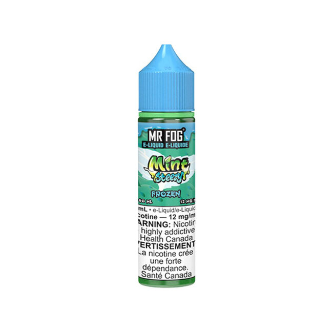 MR FOG MR FOG MINT STEEZY E-LIQUID JUICE