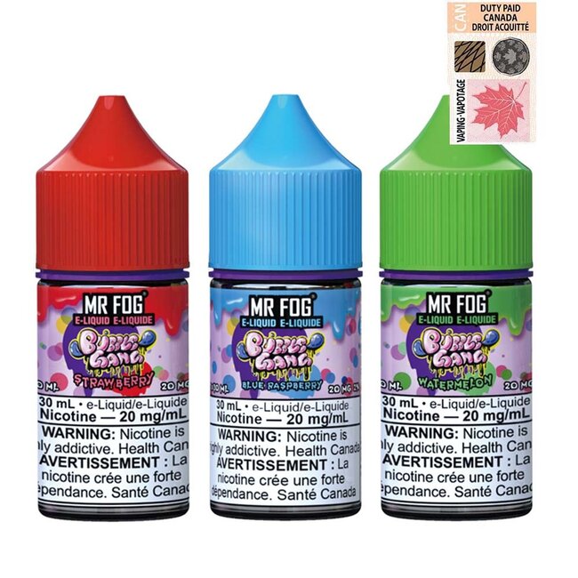 MR FOG MR FOG JUICE BUBBLE GANG SALT NIC