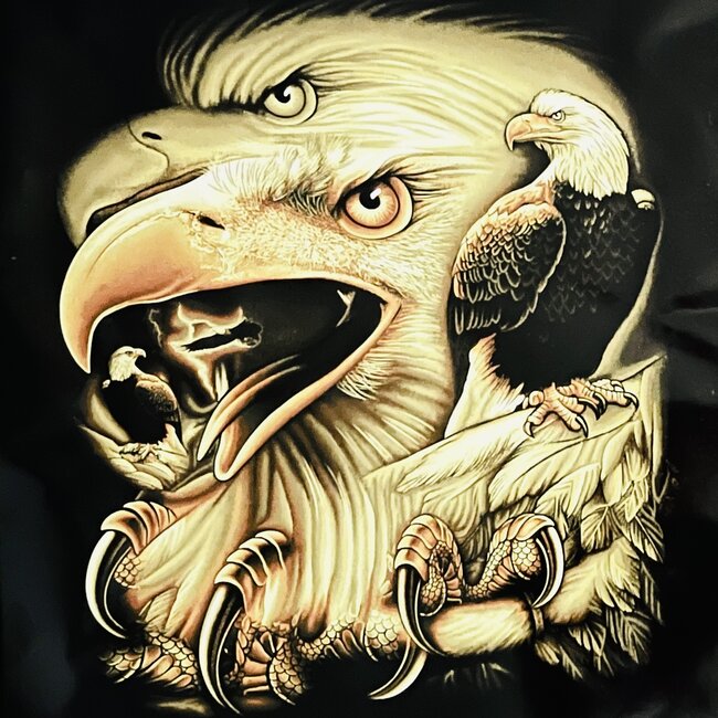 SOFARI COLLECTION EAGLE HAWK LUXARY BLANKET QUEEN