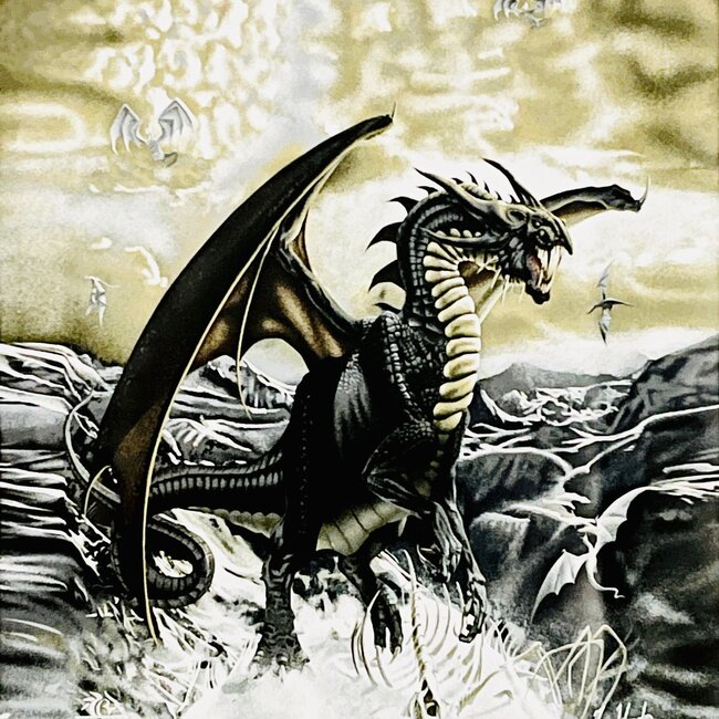 SOFARI COLLECTION DRAGON  FLY LUXARY BLANKET QUEEN