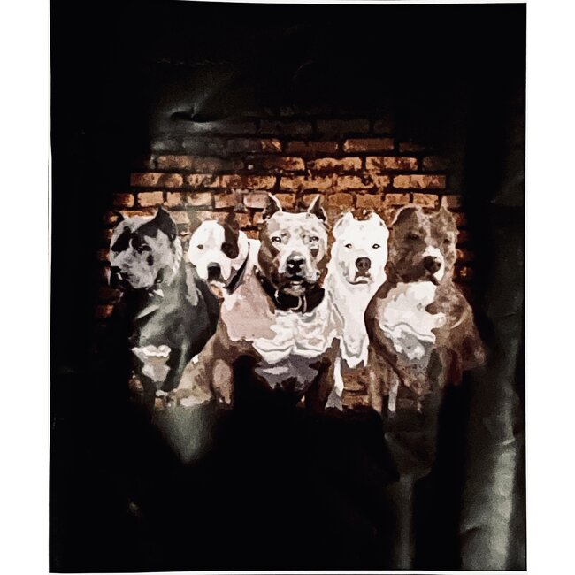 SOFARI COLLECTION PITBULL LUXARY BLANKET QUEEN
