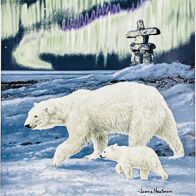 SOFARI COLLECTION POLAR BEAR LUXARY BLANKET QUEEN
