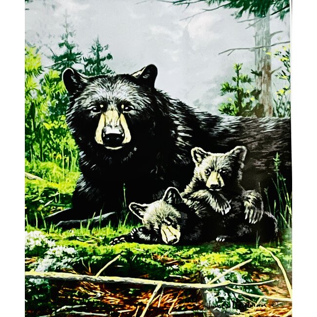 SOFARI COLLECTION BEAR LUXARY BLANKET QUEEN