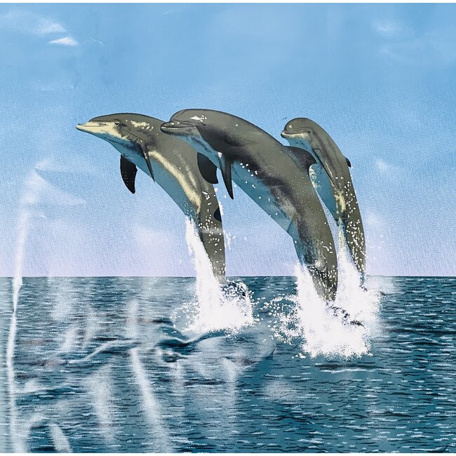 SOFARI COLLECTION DOLPHIN LUXARY BLANKET QUEEN