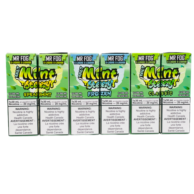 MR FOG MR FOG JUICE MINT STEEZY  SALT NIC