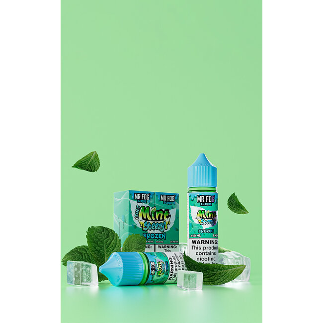 MR FOG MR FOG MINT STEEZY E-LIQUID JUICE