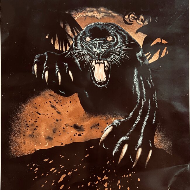 BLACK PANTHER LUXURY BLANKET