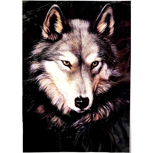 NATIVE PRIDE LUXURY BLANKET QUEEN