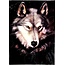 NATIVE PRIDE LUXURY BLANKET QUEEN