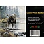 SOFARI COLLECTION MOOSE LUXARY BLANKET QUEEN