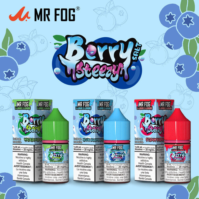 MR FOG MR FOG JUICE BERRY  STEEZY  SALT NIC