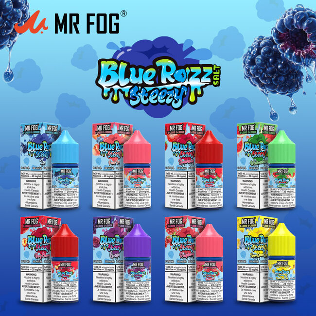 MR FOG MR FOG JUICE BLUE RAZZ STEEZY SALT NIC