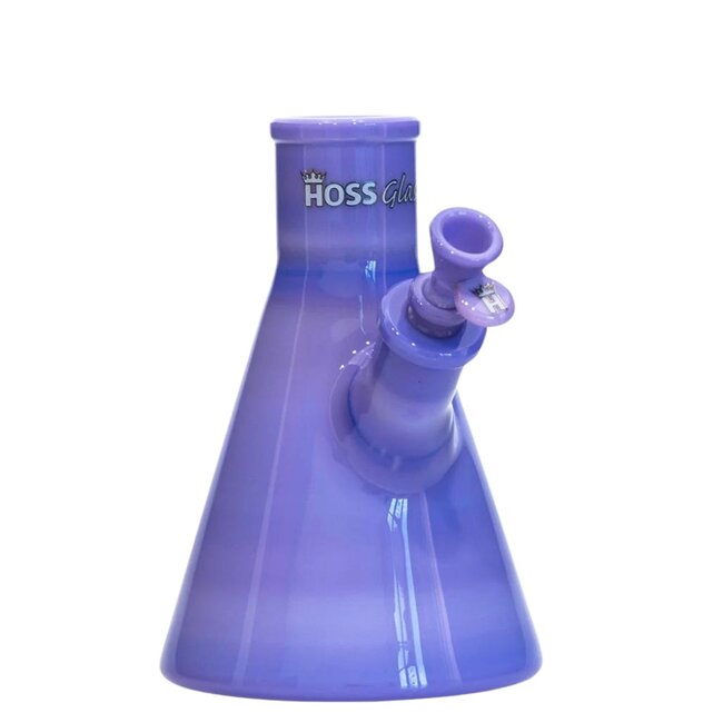 HOSS GLASS 8'' HOSE GLASS FULL COLOR BEAKER BASE WITH 19MM JOINT-H004C