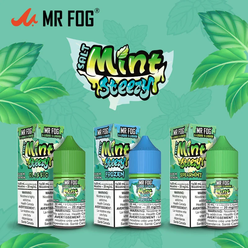 Experience the Cool Rush of Mr Fog Juice Mint Steezy Salt Nic – A Fresh Vape Like No Other!