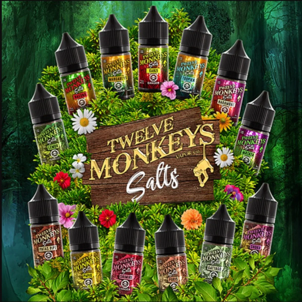 Why Twelve Monkeys Salt E-Liquid is the Best Salt Nic E-Liquid for All-Day Vaping!