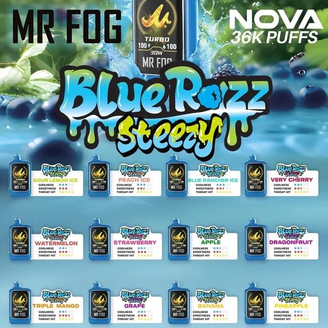 MR FOG MR FOG NOVA BLUE RAZZ STEEZY 36K DISPOSABLE