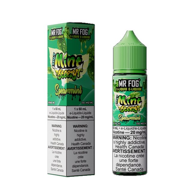 MR FOG MR FOG E-LIQUID MINT STEEZY SALT NIC
