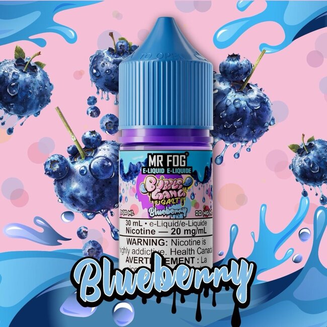 MR FOG MR FOG E-LIQUID BUBBLE GANG SALT NIC