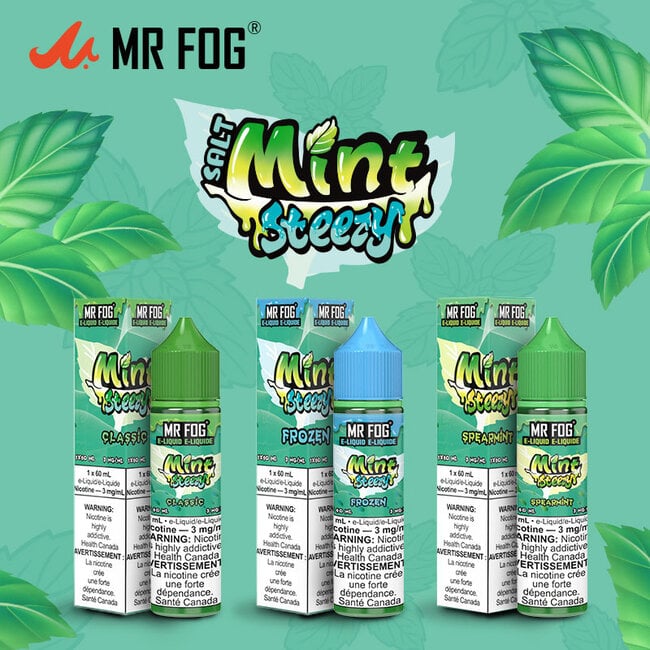 MR FOG MINT STEEZY MR FOG JUICE MINT STEEZY SALT NIC