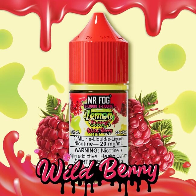 MR FOG MR FOG JUICE LEMON  STEEZY  SALT NIC