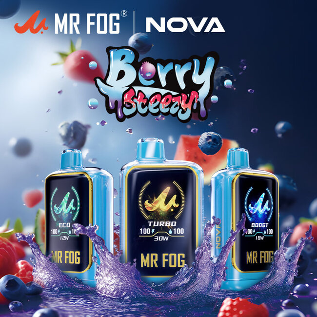 MR FOG MR FOG NOVA BERRY STEEZY 36K DISPOSABLE
