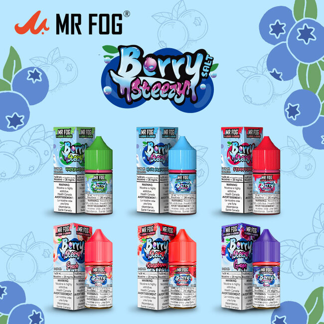 MR FOG MR FOG JUICE BERRY  STEEZY  SALT NIC