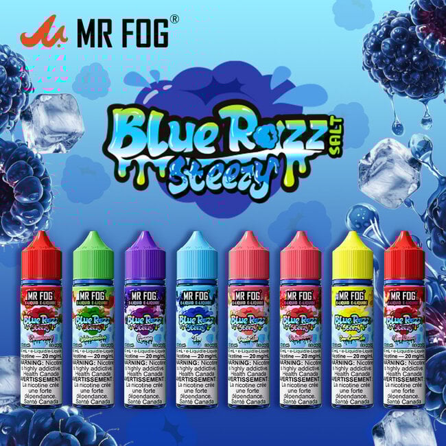 MR FOG MR FOG JUICE BLUE RAZZ STEEZY SALT NIC