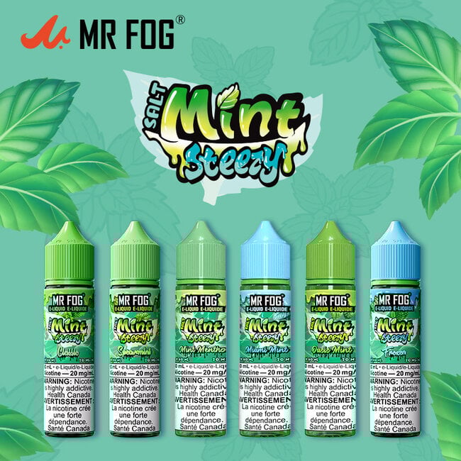 MR FOG MR FOG JUICE MINT STEEZY SALT NIC