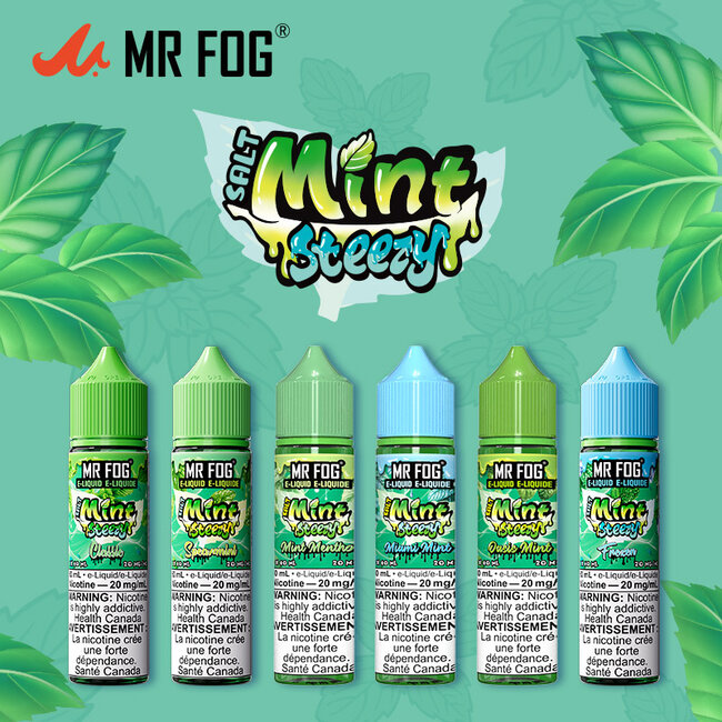MR FOG MR FOG JUICE MINT STEEZY SALT NIC