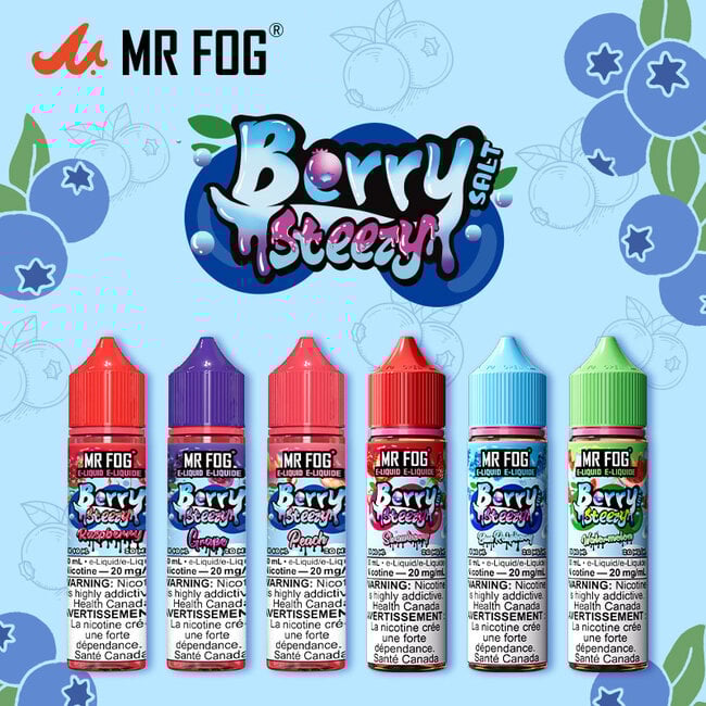 MR FOG MR FOG JUICE BERRY  STEEZY  SALT NIC
