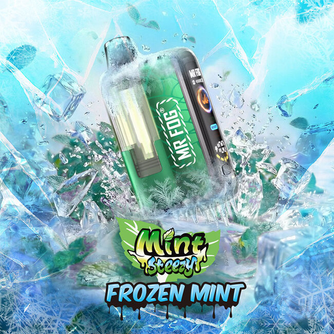 MR FOG MR FOG MINT STEEZY SWITCH POD KIT 45K