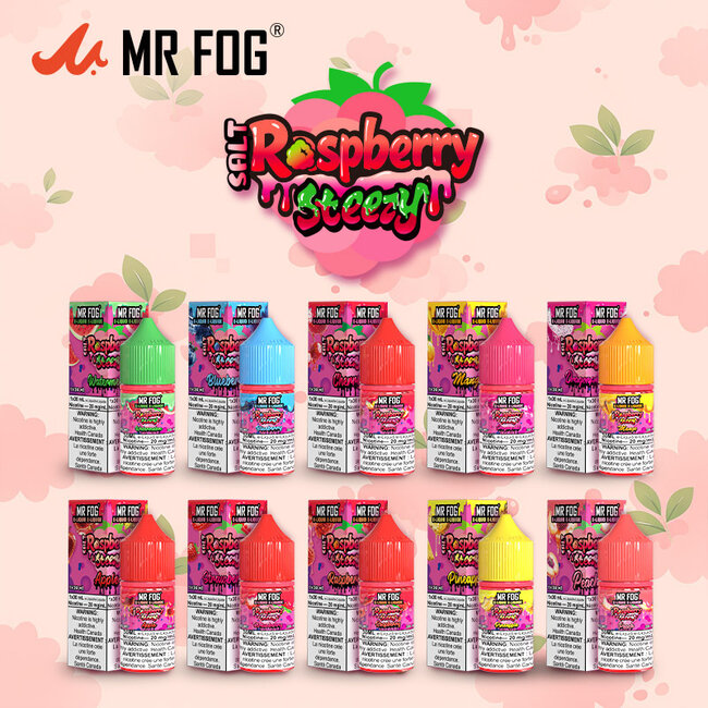 MR FOG MR FOG JUICE  RASPBERRY STEEZY SALT NIC