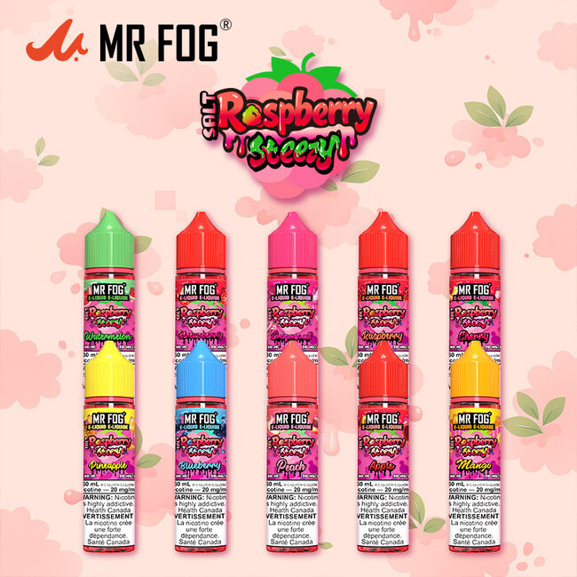 MR FOG MR FOG E-LIQUID RASPBERRY STEEZY SALT NIC