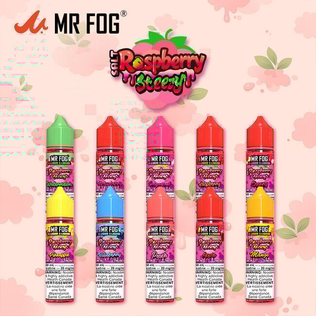 MR FOG MR FOG JUICE  RASPBERRY STEEZY SALT NIC