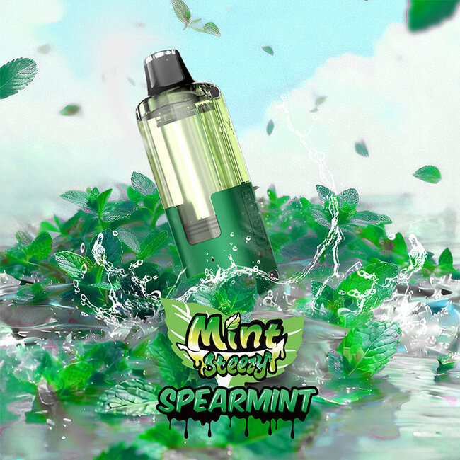 MR FOG MR FOG MINT STEEZY SWITCH POD 45K