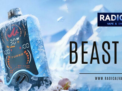 What Actually Fails First in a Flavour Beast Device