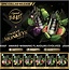 FLAVOUR BEAST FLAVOUR BEAST E-LIQUID TWELVE MONKEYS SALT NIC