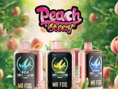 MR FOG NOVA Peach Steezy 36K Disposable Guide: Everything to Know About the MR FOG 36K Disposable Vape, Flavors & 36K Puffs