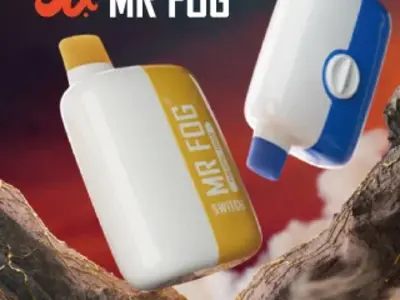 MR FOG 5500 PUFFS Guide: Discover MR FOG SWITCH 5500 Rechargeable Features, 15ML Capacity & Must-Know Flavor Options Like Blue Raspberry Cherry Ice and Mint Menthol Ice