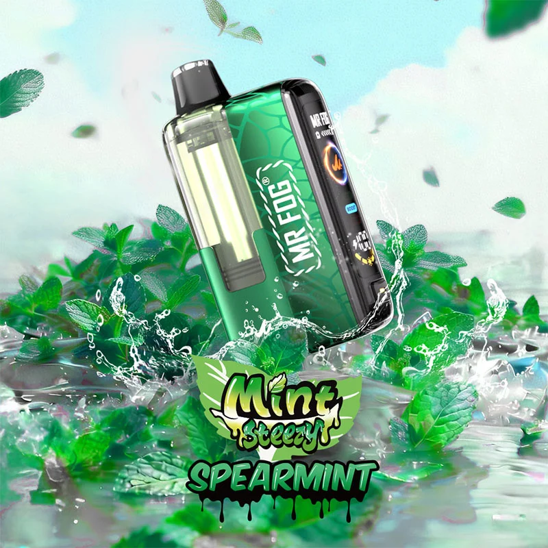 Mr Fog Mint Steezy 45k