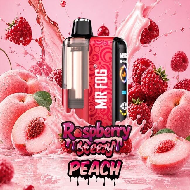 MR FOG MR FOG RASPBERRY STEEZY SWITCH POD KIT 45K