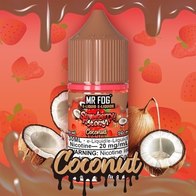 MR FOG MR FOG E-LIQUID STRAWBERRY STEEZY SALT NIC