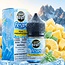 FLAVOUR BEAST FLAVOUR BEAST FROZEN SERIES E-LIQUID SALT NIC