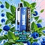 MR FOG MR FOG BLUE RAZZ SWITCH POD KIT 45K