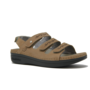 Cambrian Women's Delphi 3