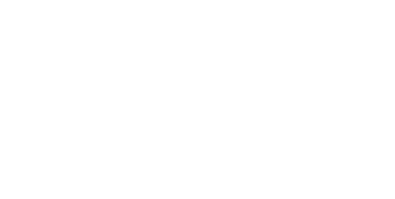 Shoe Solutions Shop