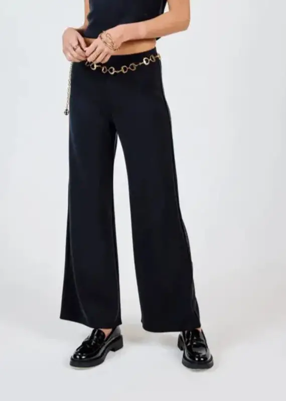 SADIE AND SAGE HUSTLE WIDE LEG PANTS