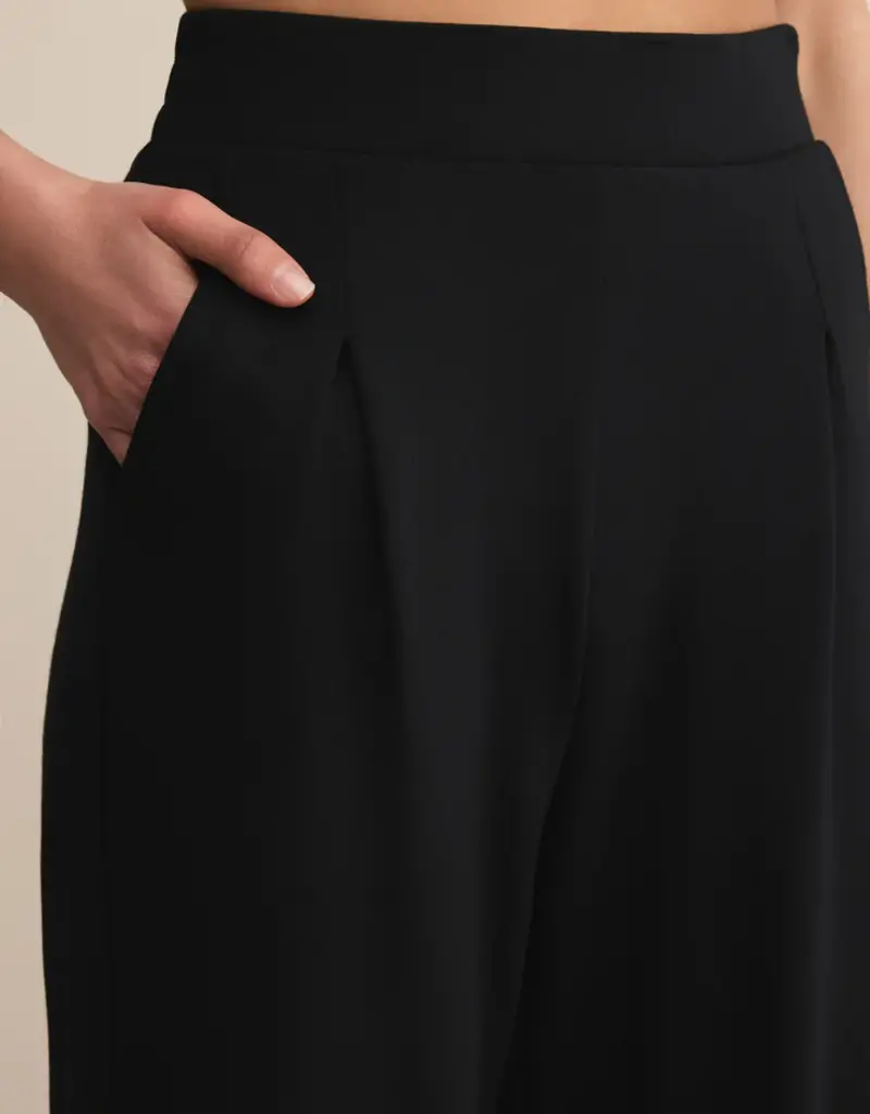 ZSUPPLY ROUND TRIP PANT